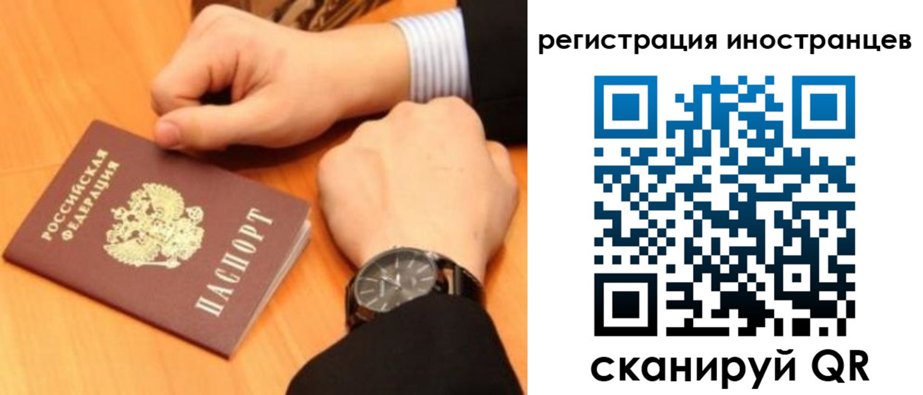 прописка гарантия в Куртамыше